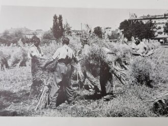 "Der Aktivdienst Die Zeit nationaler Bewährung 1939-45", Andri Peer, 95 Seiten, leicht gebraucht, ex-Bibliotheksexemplar