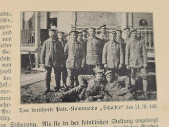 "Württembergisches Landw.-Inf.-Regiment Nr. 123  im Weltkrieg 1914-18", Stuttgart, 1922, 206 Seiten, alle Anhänge fehlen!