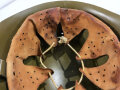 Italien, Stahlhelm nach 2.Weltkrieg, Größe 55