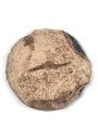 Kraftfahrbewährungsabzeichen in Bronze mit Rückscheibe, magnetisch