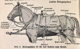 Der Dienstunterricht im Heere Ausgabe für den Schützen der Schützenkompanie, Jahrg. 1938/39, 11. Aufl., 325 Seiten