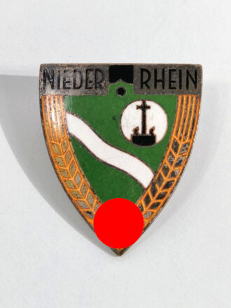 Reichsarbeitsdienst der Männer ( RAD/M ) Traditions...