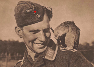 Ansichtskarte Luftwaffe "Zwei gute Freunde" - Der Adler die große Luftwaffen-Illustrierte