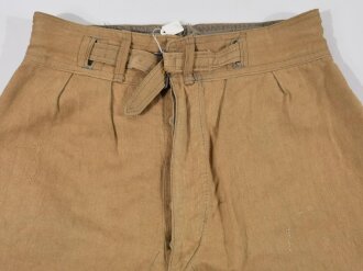 Kurze Tropenhose Luftwaffe. Getragenes Stück in gutem Gesamtzustand, eigenmächtig gekürzte, ehemals lange Hose