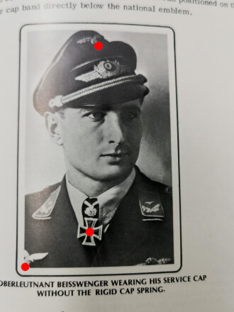 "Air Organizations of the Third Reich - The Luftwaffe" 320 Seiten, englisch, über DIN A5, gebraucht