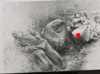 "Wie ein Fels im Meer - 3. SS-Panzerdivision Totenkopf im Bild", 307 Seiten, über DIN A4, gebraucht