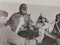 "Kavallerie Divisionen der Waffen-SS im Bild", 223 Seiten, über DIN A4, gebraucht, deutsch/englisch