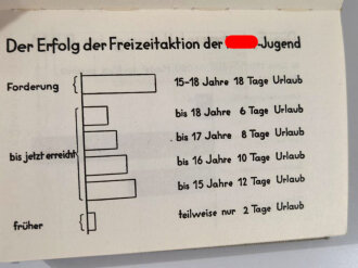 "Die Hitler-Jugend Idee und Gestalt", v.Schirach, Leipzig, 1934, 227 Seiten plus Anhang