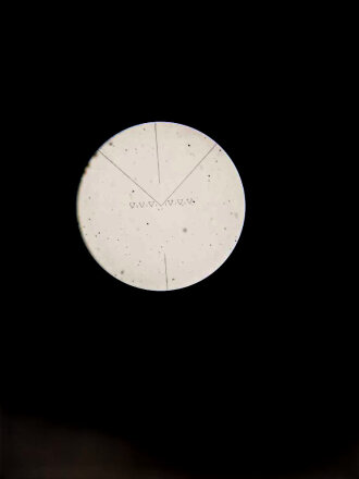 Zielfernrohr Z.F. 3x8° Wehrmacht. Klare Durchsicht mit diversen kleinen schwarzen Punkten, "Strichplatte" deutlich, Gummi weich