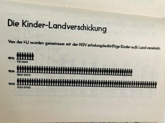 "Die Hitler-Jugend" Idee und Gestalt von Baldur von Schirach, datiert 1934, 237 Seiten, im Schutzumschlag, gebraucht