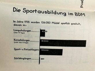 "Die Hitler-Jugend" Idee und Gestalt von Baldur von Schirach, datiert 1934, 237 Seiten, im Schutzumschlag, gebraucht