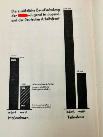 "Die Hitler-Jugend" Idee und Gestalt von Baldur von Schirach, datiert 1934, 237 Seiten, im Schutzumschlag, gebraucht