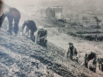 "Die neue Gartenlaube" Zukunftsfrohe Jugend,, Heft 5 Berlin 29. Januar 1941