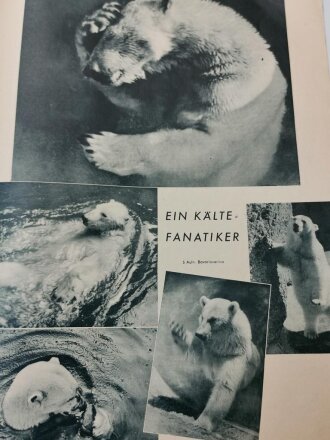 "Die neue Gartenlaube" Zukunftsfrohe Jugend,, Heft 5 Berlin 29. Januar 1941