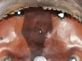 Korpus  für eine Pickelhaube