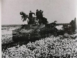 Panzer-Genadier-Division Großdeutschland und ihre Schwesterverbände, 188 Seiten, 17,7 x 24,6 cm, gebraucht