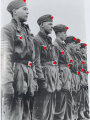 "Deutsche Fallschirmjäger: Uniformierung und Ausrüstung 1936 - 1945" Band 1: Bekleidung, 367 Seiten, gebraucht