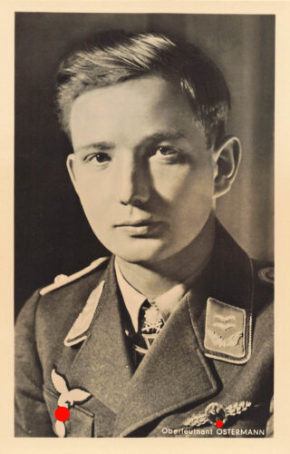 Hoffmann Fotopostkarte Oberleutnant Ostermann