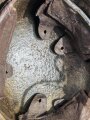 1.Weltkrieg, Stahlhelm Modell 1916. Leicht narbige, originale Glocke, der Rest kreativ dazugebastelt, Innenfutter hängt nur an einer Niete. Einzelstück aus Sammlungsauflösung