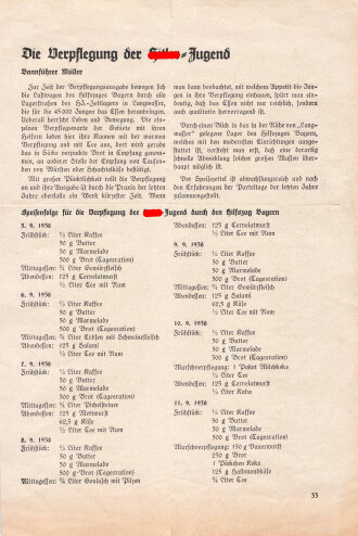 "Die Feiergestaltung der Hitler-Jugend auf dem Reichsparteitag 1938", DIN A4