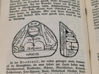 "Deutscher Jungendienst", Ein Handbuch herausgegeben vom Deutschen Jungendienst datiert 1933, 388 Seiten, DIN A5