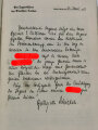"Deutscher Jungendienst", Ein Handbuch herausgegeben vom Deutschen Jungendienst datiert 1933, 388 Seiten, DIN A5