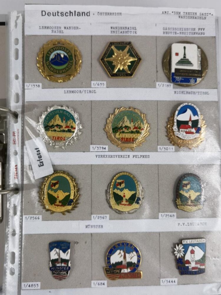 Badge De Ski Autrichien - Telfs 'Dem Treuen Gast' - Pin's Sports D'hiver