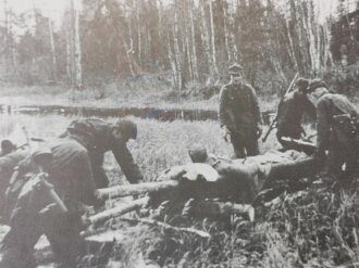 "Gebirgsjäger im Bild - 6.SS Gebirgsdivision Nord 1940-1945" 198 Seiten, DIN A4, gebraucht