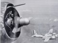 "Dien Bien Phu", Die Fallschirmjäger der Fremdenlegion in Indochina, Terry Kajuko, DIN A5, 503 Seiten