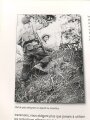 "Enfant du Danube, Fils de France", Autriche, Normandie, Hollande, Allemagne, Indochine, Egypte, Algerie, Laurent Grasser, DIN A4, 256 Seiten, aus Raucherhaushalt