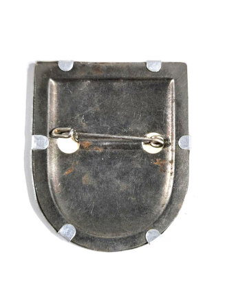 Gewebtes Blechabzeichen, 5. Kreistagung 10/11.4.1937 Delligsen, Alles für Deutschland