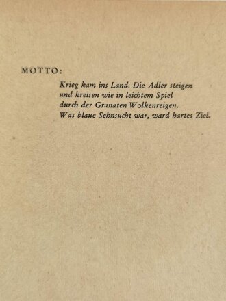 "Sturz in den Sieg" Das Wunder der Ju88. 423 Seiten