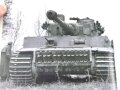 "Kampfpanzer Tiger - Geschichte, Technik, Erfahrungsberichte", 158 Seiten, über DIN A5