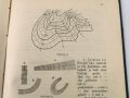 "Leitfaden für den Unterricht in der Feldkunde", datiert 1904, 90 Seiten, DIN A5