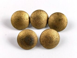 5 Stück goldene Knöpfe für einen Dienstrock, Durchmesser 18mm