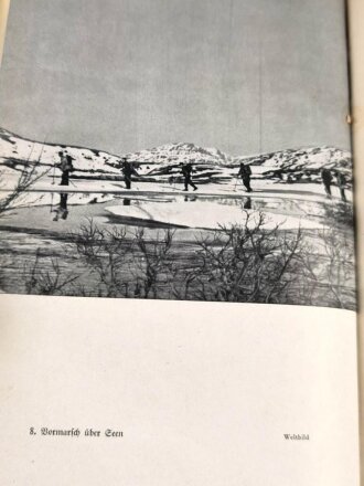 "Narvik - Sieg des Glaubens" datiert 1941, 174 Seiten, DIN A5, gebraucht, mit Widmung Hitler Jugend Bann Freiburg im Breisgau