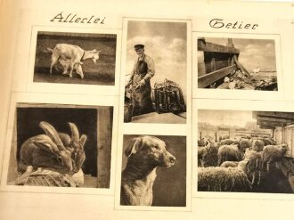 Helgoland 1914 - 1916. Erinnerungsbuch einer auf Helgoland stationierten Einheit mit etwa  160 gedruckten Fotografien