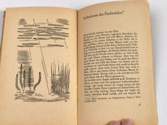 Als Feldpostbrief verschickbares Buch " Kampfende Schöpfung" Nordland Bücherei mit 59 Seiten