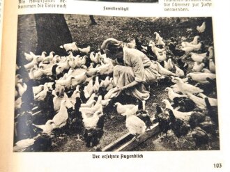 "Jahrbuch der deutschen Frontsoldaten und Kriegsopfer 1938" 200 Seiten, gebraucht