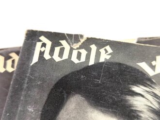 Adolf Hitler " Mein Kampf"  Ausgabe in 2 Bänden von 1938. Einband beschädigt, sonst gut