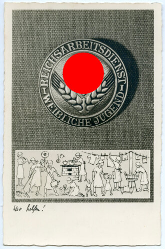 Ansichtskarte " Die Brosche des Reichsarbeitsdienstes für die weibliche Jugend" Teschke Karte Nr.113