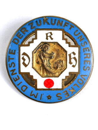 Brosche Reichsfachschaft deutscher Hebammen ( RDH ). getragenes Stück in gutem Gesamtzustand