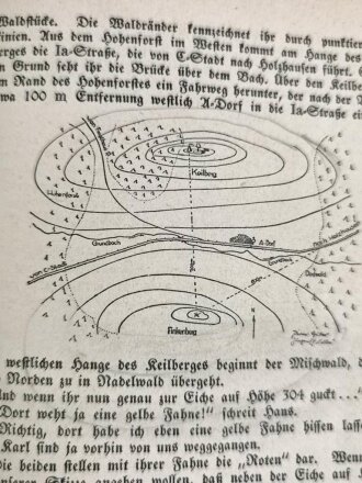 "Pimpf im Dienst" Ein Handbuch für das Deutsche Jungvolk in der HJ, 1934, 350 Seiten, DIN A5, stark gebraucht