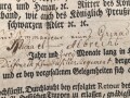 Hessen, Militärabschied eines Angehörigen der Kontinentalarmee im Amerikanischen Unabhängigkeitskrieg 1775-1783.