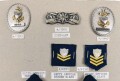 U.S. Coast Guard, Sammlung Abzeichen der Küstenwache, auf Karton getackert