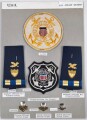 U.S.  Coast Guard, Sammlung Abzeichen/ Schulterklappen der Küstenwache, auf Karton getackert