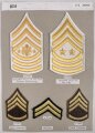 U.S. Army, Sammlung Ärmelabzeichen der Infanterie, auf Karton getackert
