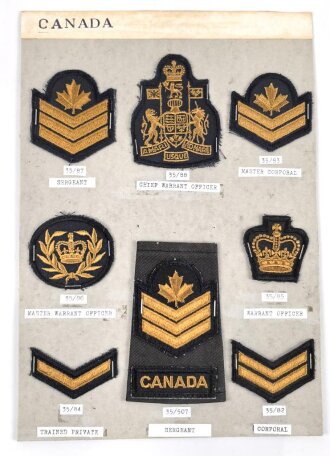 Canada Heer, Sammlung Abzeichen/ Ärmelabzeichen, auf...