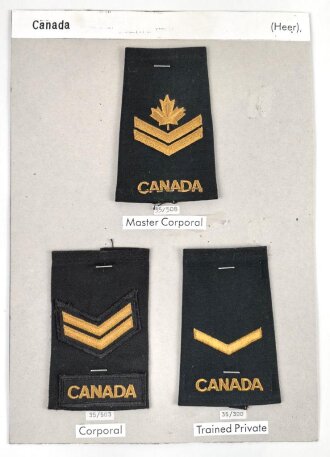 Canada Heer, Sammlung Schulterklappenüberschübe, auf Karton getackert
