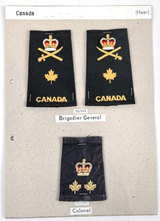 Canada Heer, Sammlung Schulterklappenüberschübe, auf Karton getackert
